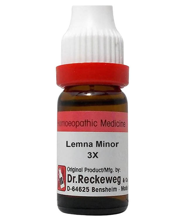 Dr. Reckeweg Lemna Minor Dilution - BUDNE