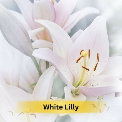 Prakriti Herbal Soap White Lily