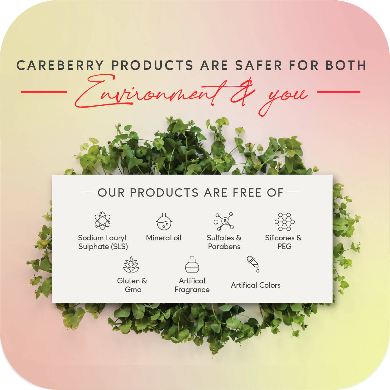 Careberry Keratin Oil & Silk Proteins Anti-Frizz Shampoo For Dry & Frizzy Hair