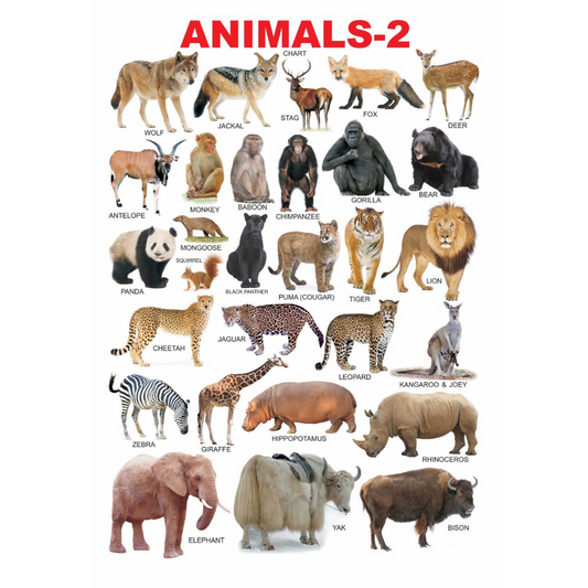 Dreamland Publications Educational Chart for Kids - Animals-2