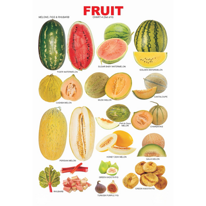 Dreamland Publications Educational Chart for Kids - Fruit Chart - 4