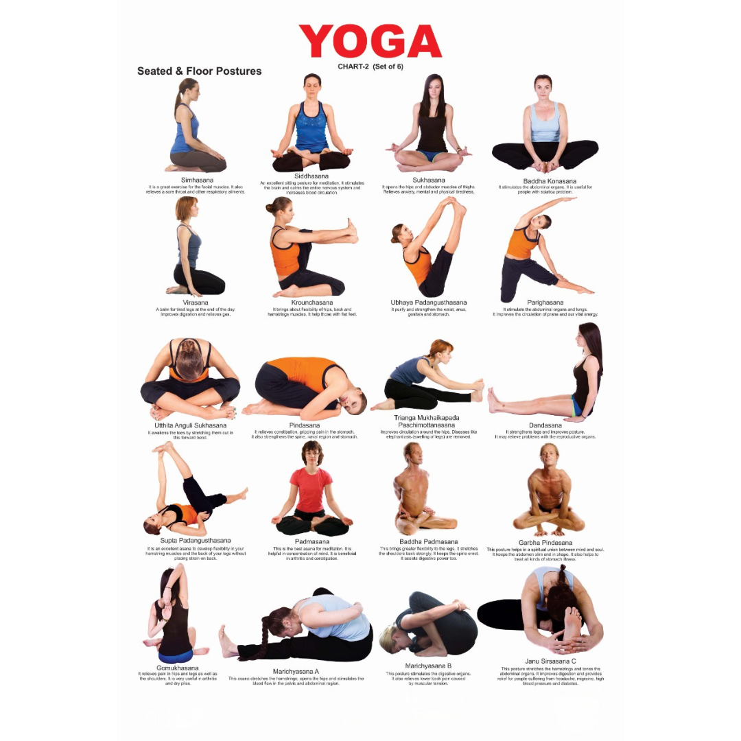 Dreamland Publications Yoga Chart - 2 : Children Reference Educational Laminated Chart