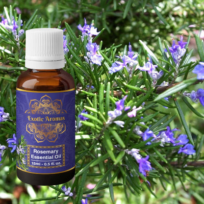 Exotic Aromas Rosemary Oil for Hair Growth, Skin