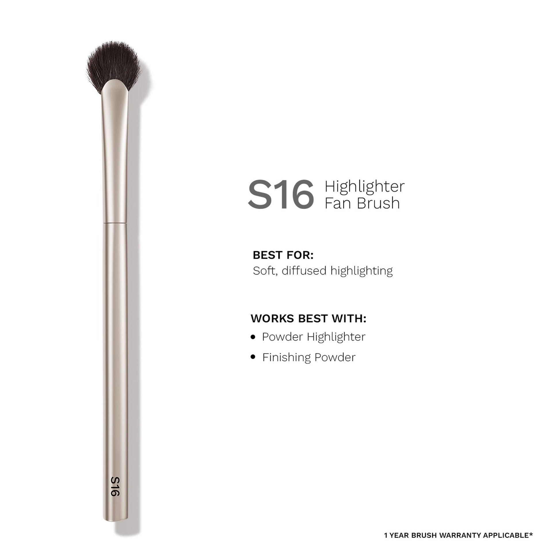 PAC Studio S16 Highlighter Fan Brush - Feather Light Application, Ultra Soft Bristles, Even Application