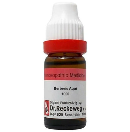 Dr. Reckeweg Berberis Aqui Dilution - usa canada australia