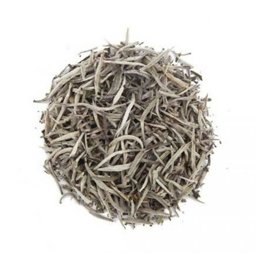 Tea Sense Silver Needle White Tea