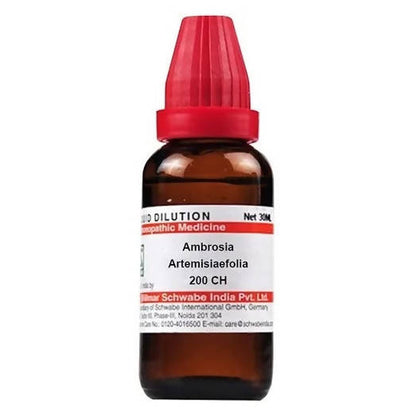 Dr. Willmar Schwabe India Ambrosia Artemisiaefolia Dilution 200 ch