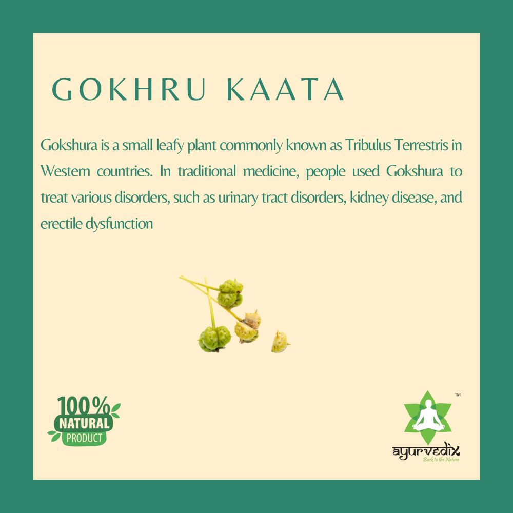 Ayurvedix Gokhru Kaata Ark