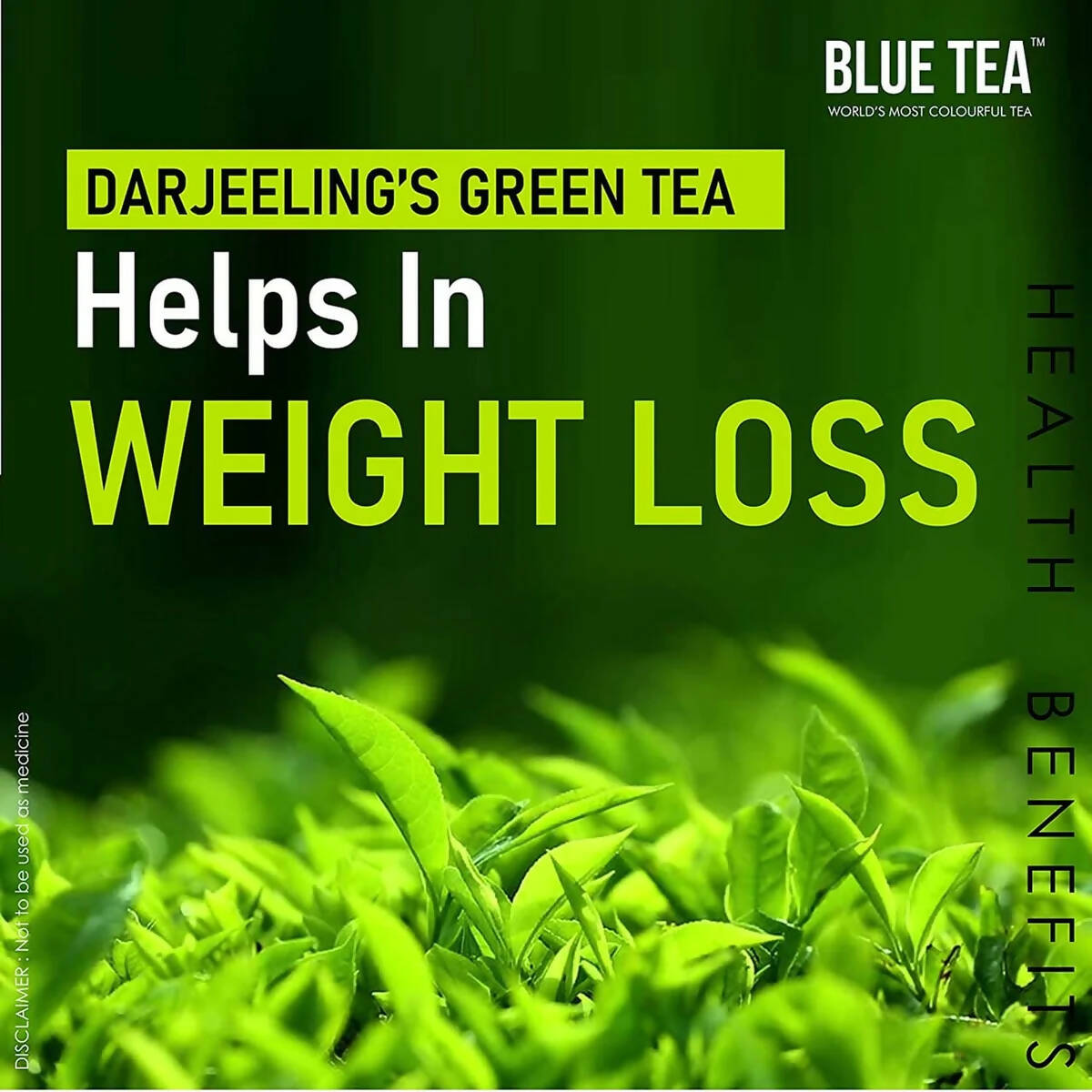 Blue Tea Organic Moringa Green Tea