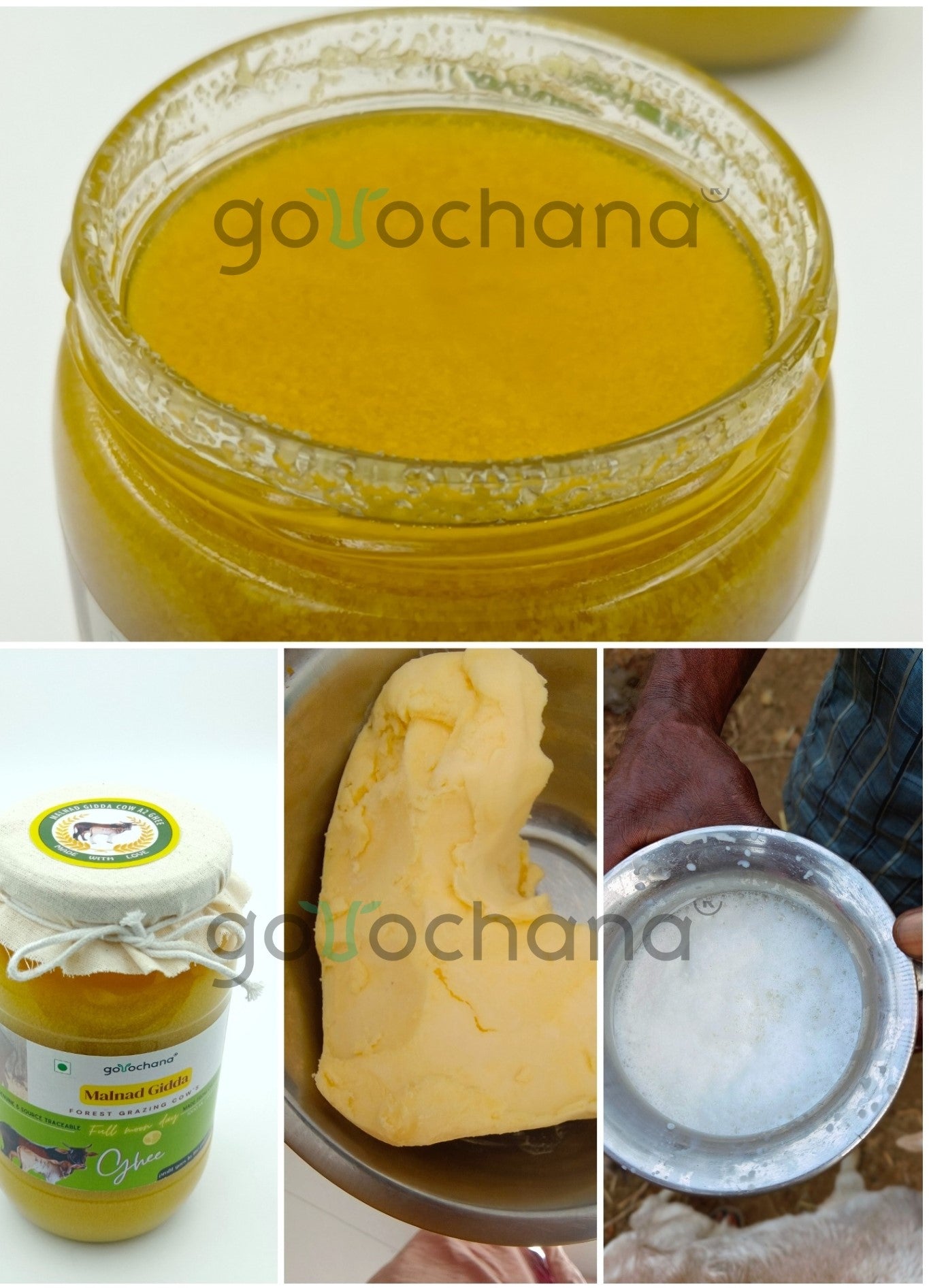 Gorochana 100% Source Traceable Desi Malnad Gidda A2 Full Moon Day Bilona Cow Ghee