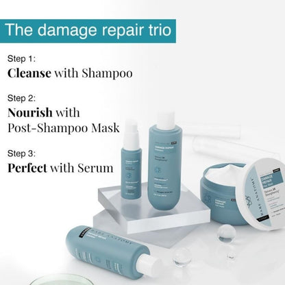 Bare Anatomy Expert Damage Repair Kit