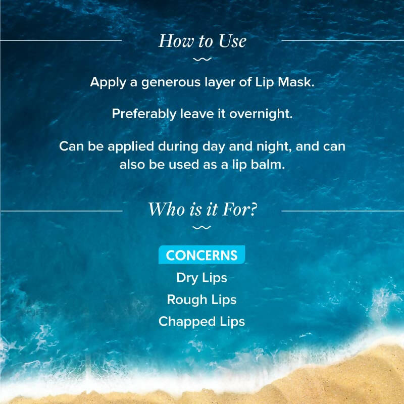 Aqualogica Hydrate+ Plump Lip Mask