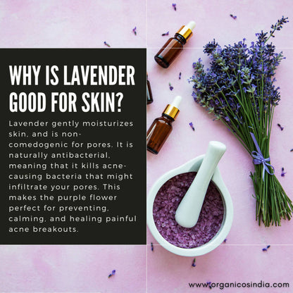 Organicos Lavender Face Cleanser
