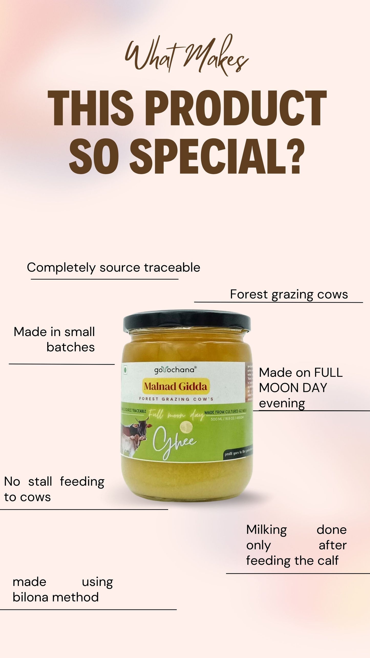 Gorochana 100% Source Traceable Desi Malnad Gidda A2 Full Moon Day Bilona Cow Ghee