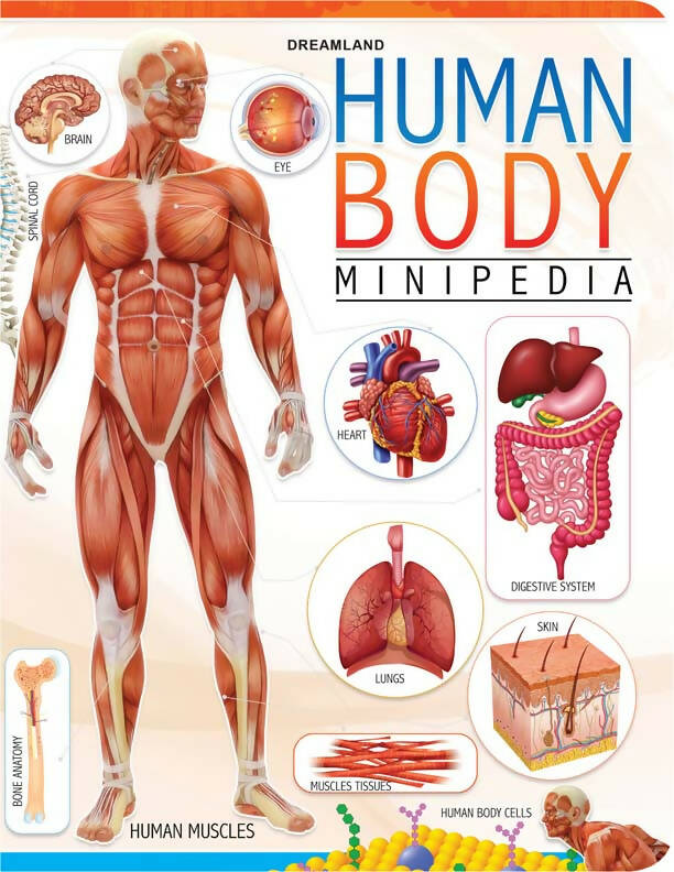 Dreamland Human Body Minipedia