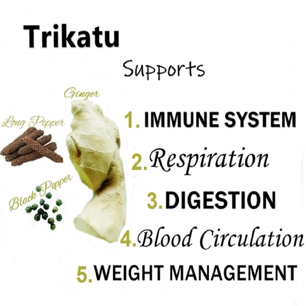 Himalaya Wellness Pure Herbs Trikatu Digestive Wellness