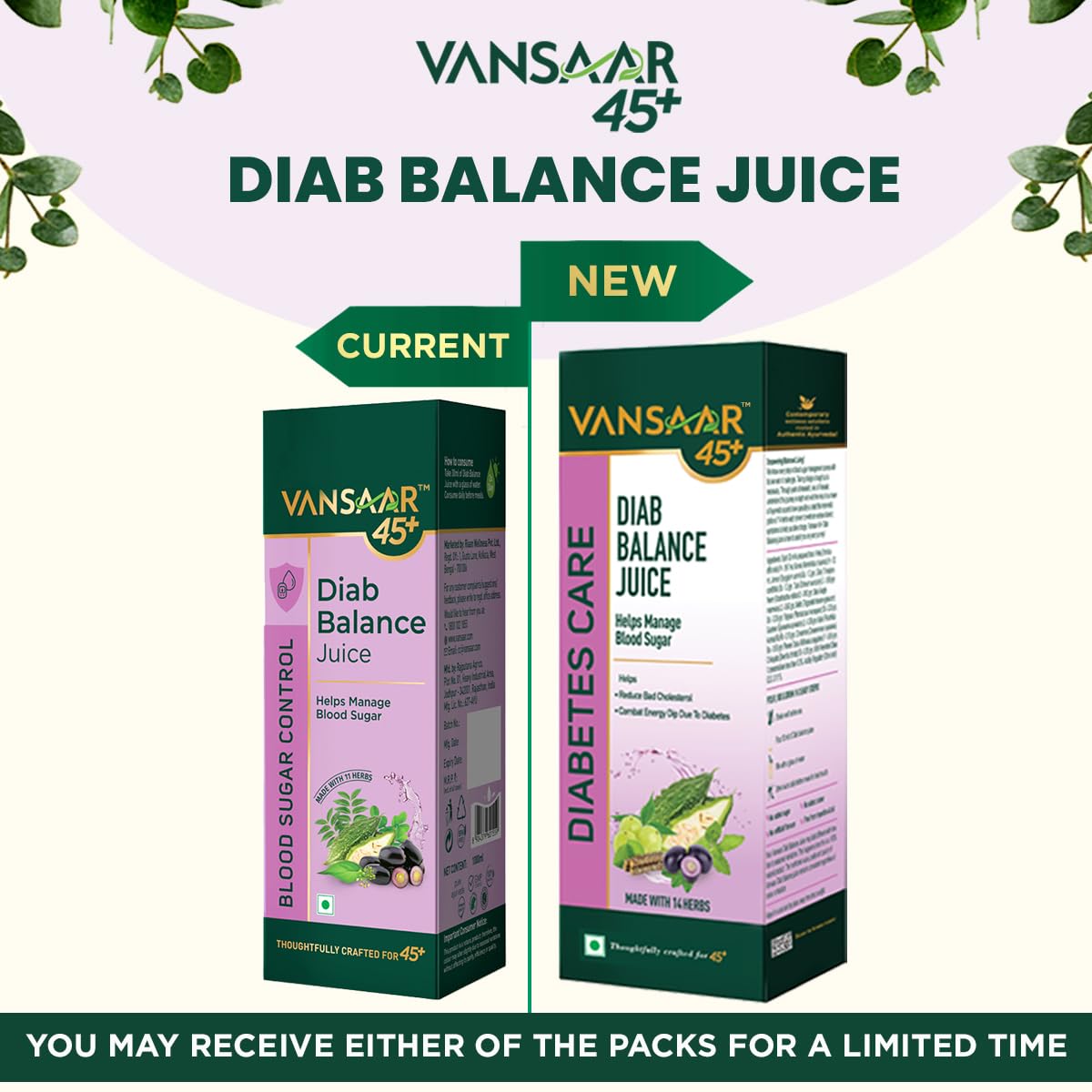 Vansaar 45+ Diab Balance Juice