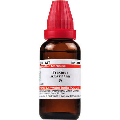 Dr. Willmar Schwabe India Fraxinus Americana Mother Tincture