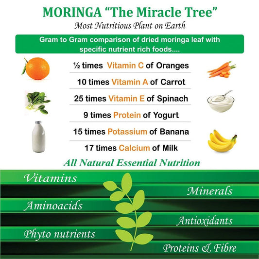 Attar Ayurveda Moringa Powder