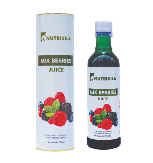 Extasy Nutrisila Mix Berries Juice - BUDNE