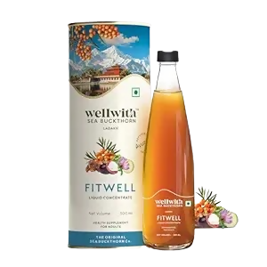 Wellwith Fitwell Juice – Himalayan Sea Buckthorn + Garcinia, Kokum & Punarnava - 300ML