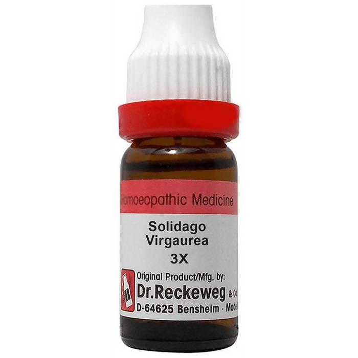 Dr. Reckeweg Solidago Virgaurea Dilution - usa canada australia