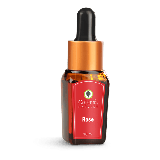 Organic Harvest Rose Essential Oil