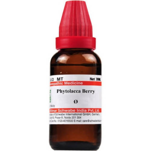 Dr. Willmar Schwabe India Phytolacca Berry Mother Tincture Q - BUDNE