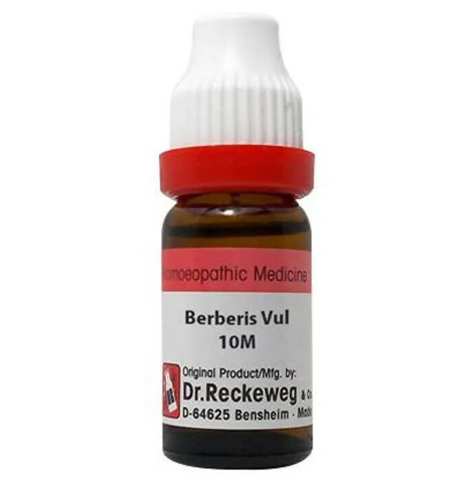 Dr. Reckeweg Berberis Vul Dilution - BUDNE