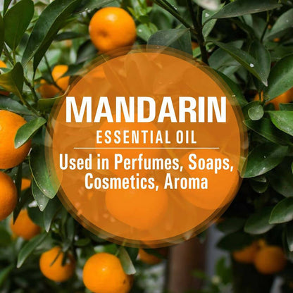 Old Tree Mandarin Essential Oil