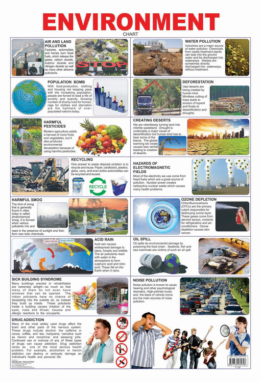 Dreamland Publications Educational Chart for Kids - Environment -  buy in usa 