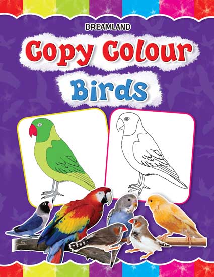 Dreamland Copy Colour - Birds -  buy in usa 