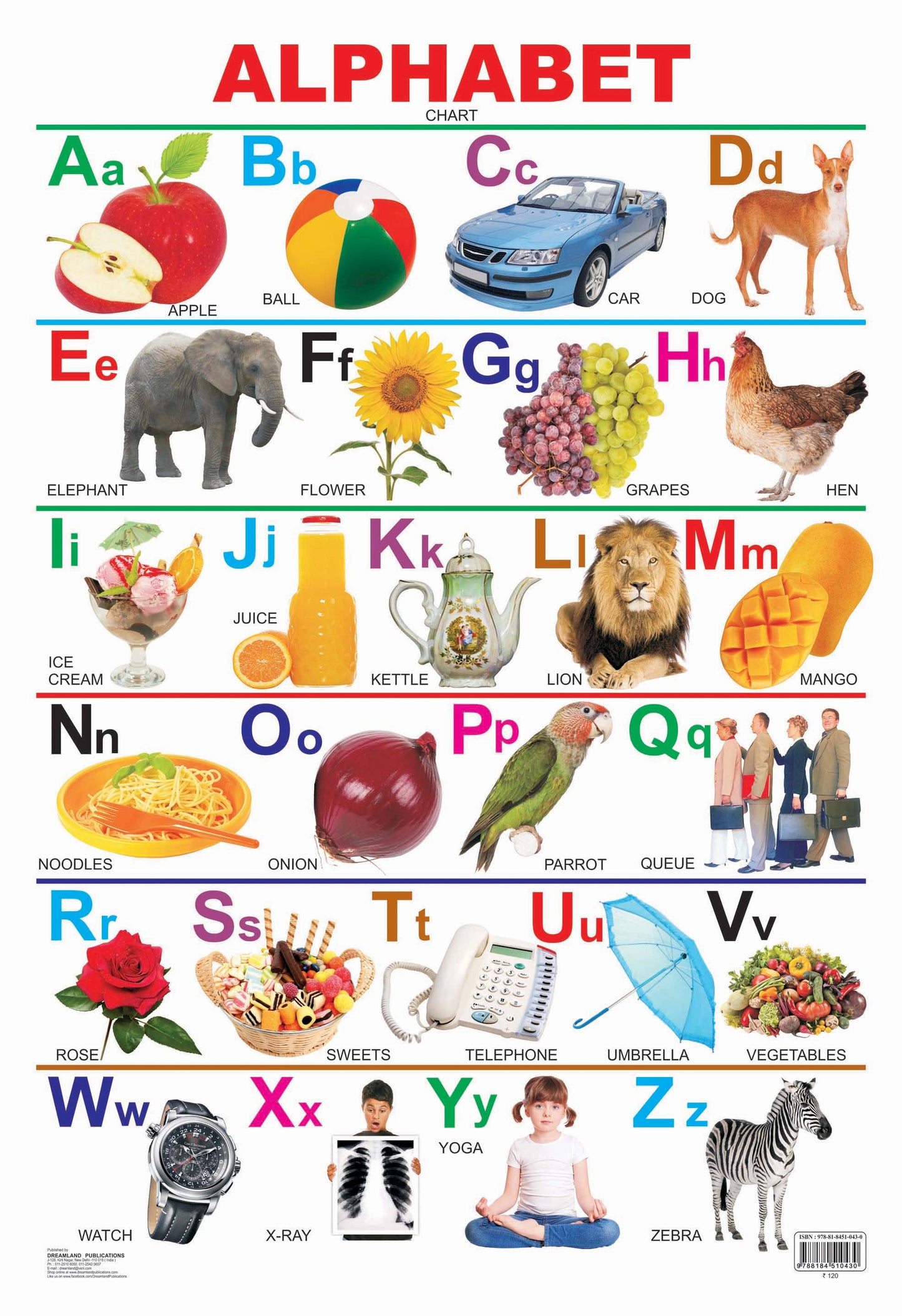 Dreamland Publications Educational Chart for Kids - Alphabet -  buy in usa 