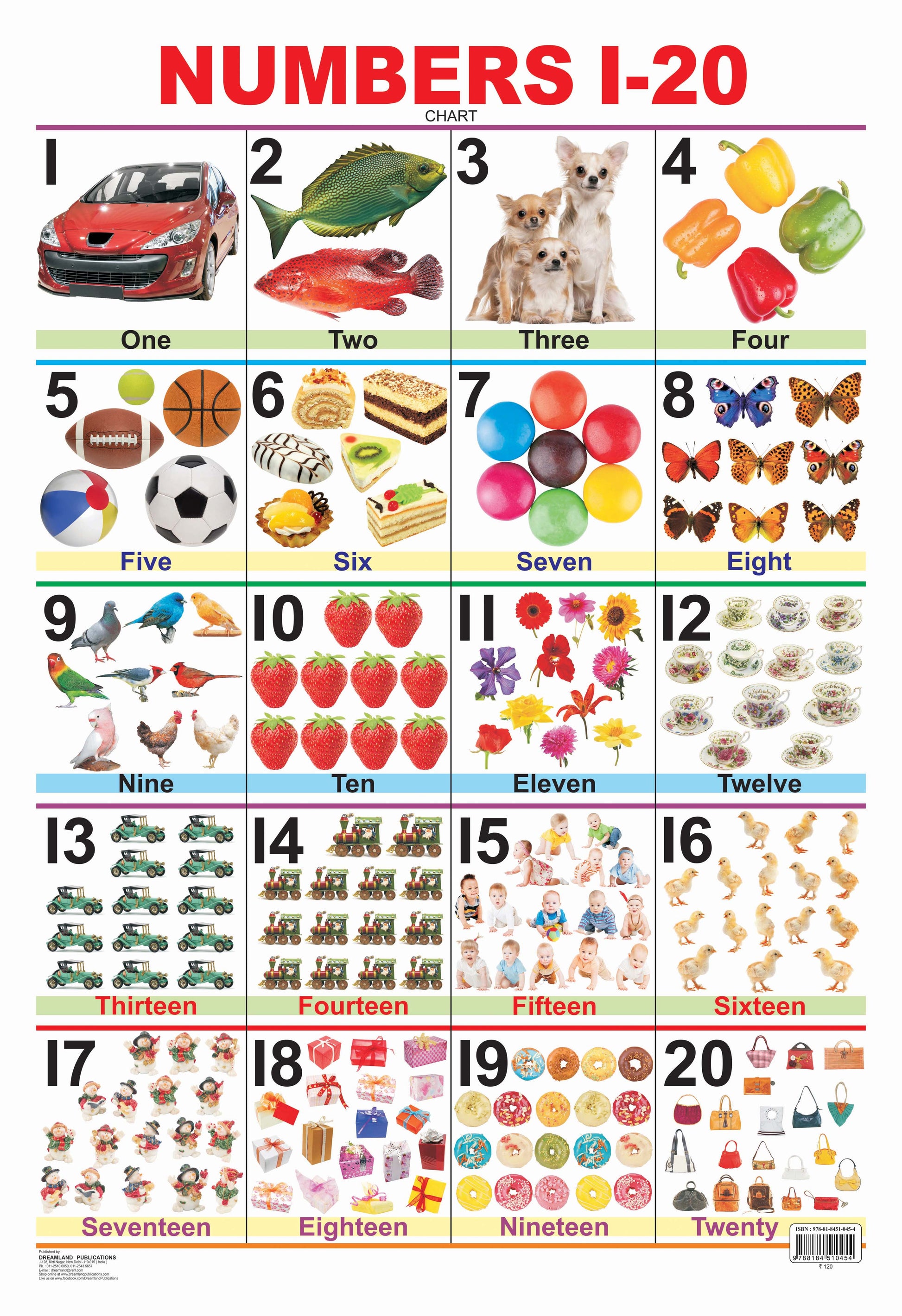 Dreamland Publications Educational Chart for Kids - Numbers 1-20 -  buy in usa 