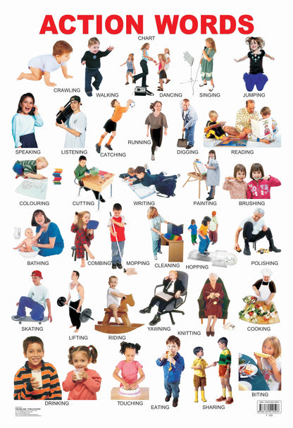 Dreamland Publications Educational Chart for Kids - Action Words -  buy in usa 