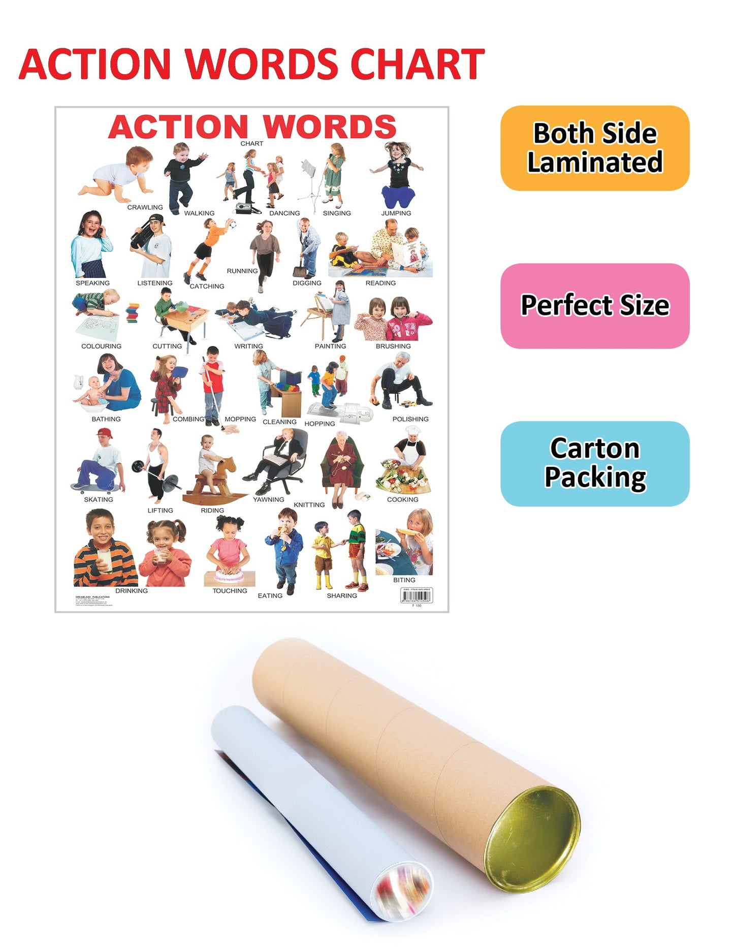 Dreamland Publications Educational Chart for Kids - Action Words