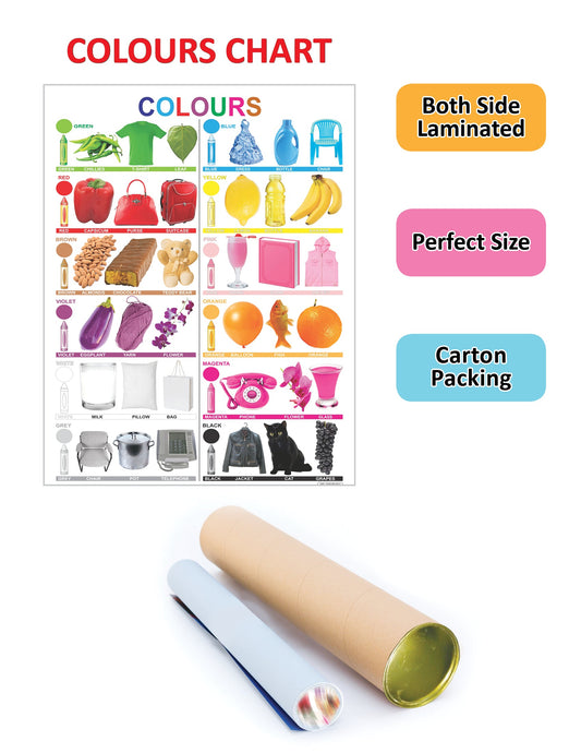 Dreamland Publications Educational Chart for Kids - Colours