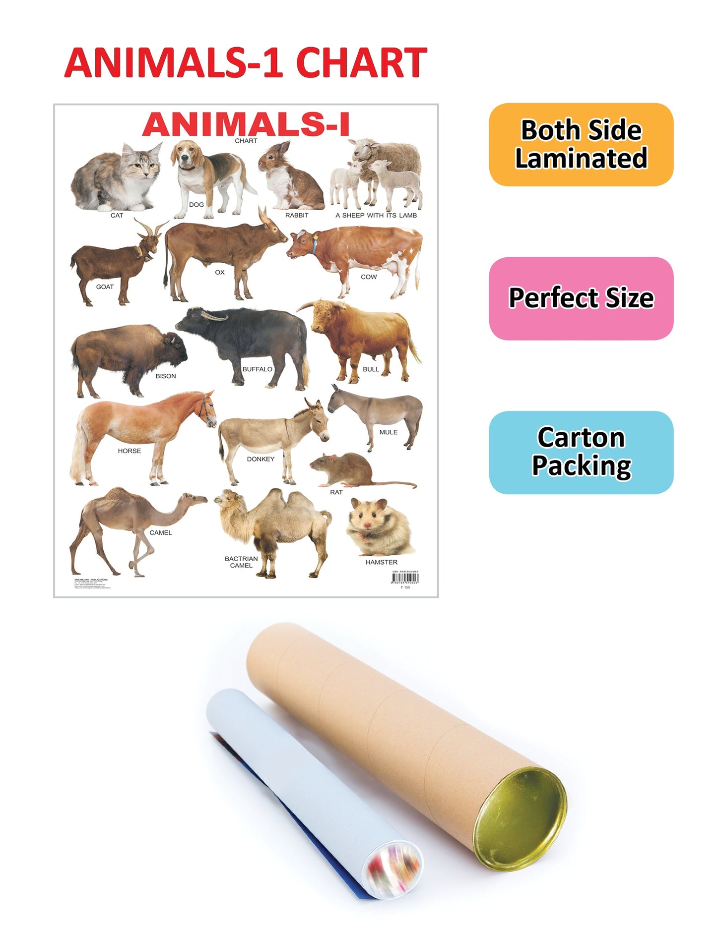 Dreamland Publications Educational Chart for Kids - Animals-1 -  buy in usa 