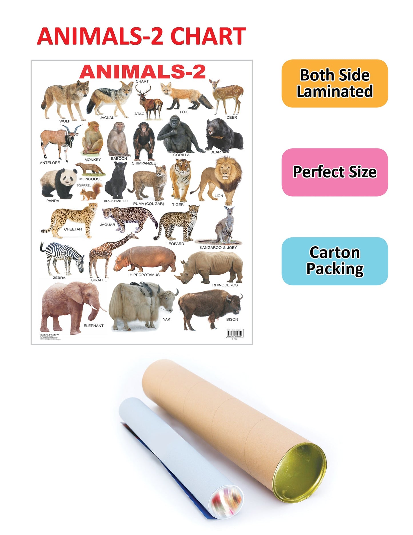 Dreamland Publications Educational Chart for Kids - Animals-2