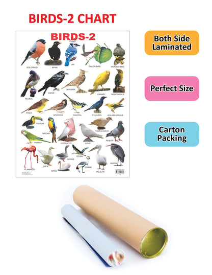 Dreamland Publications Educational Chart for Kids - Birds-2