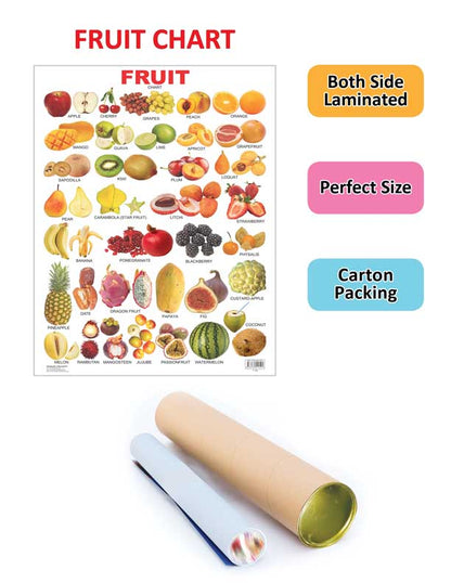 Dreamland Publications Educational Chart for Kids - Fruits (All in One)