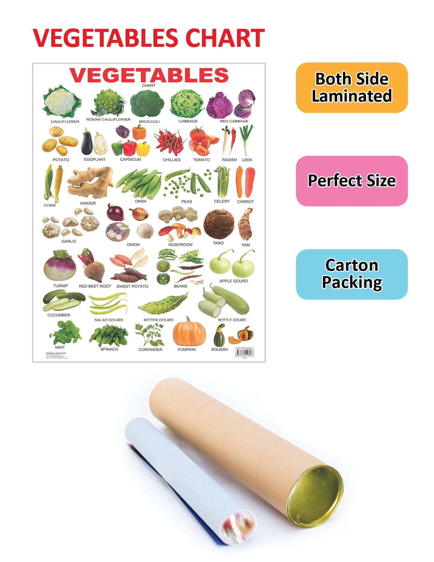 Dreamland Publications Educational Chart for Kids - Vegetables