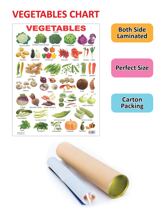 Dreamland Publications Educational Chart for Kids - Vegetables