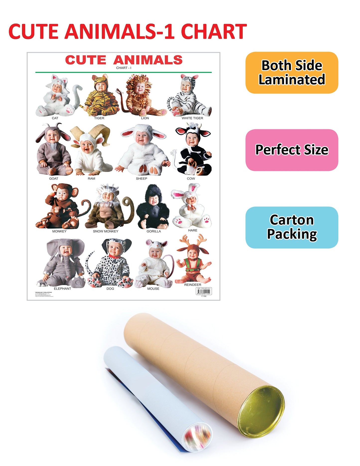 Dreamland Publications Educational Chart for Kids - Cute Animals - 1