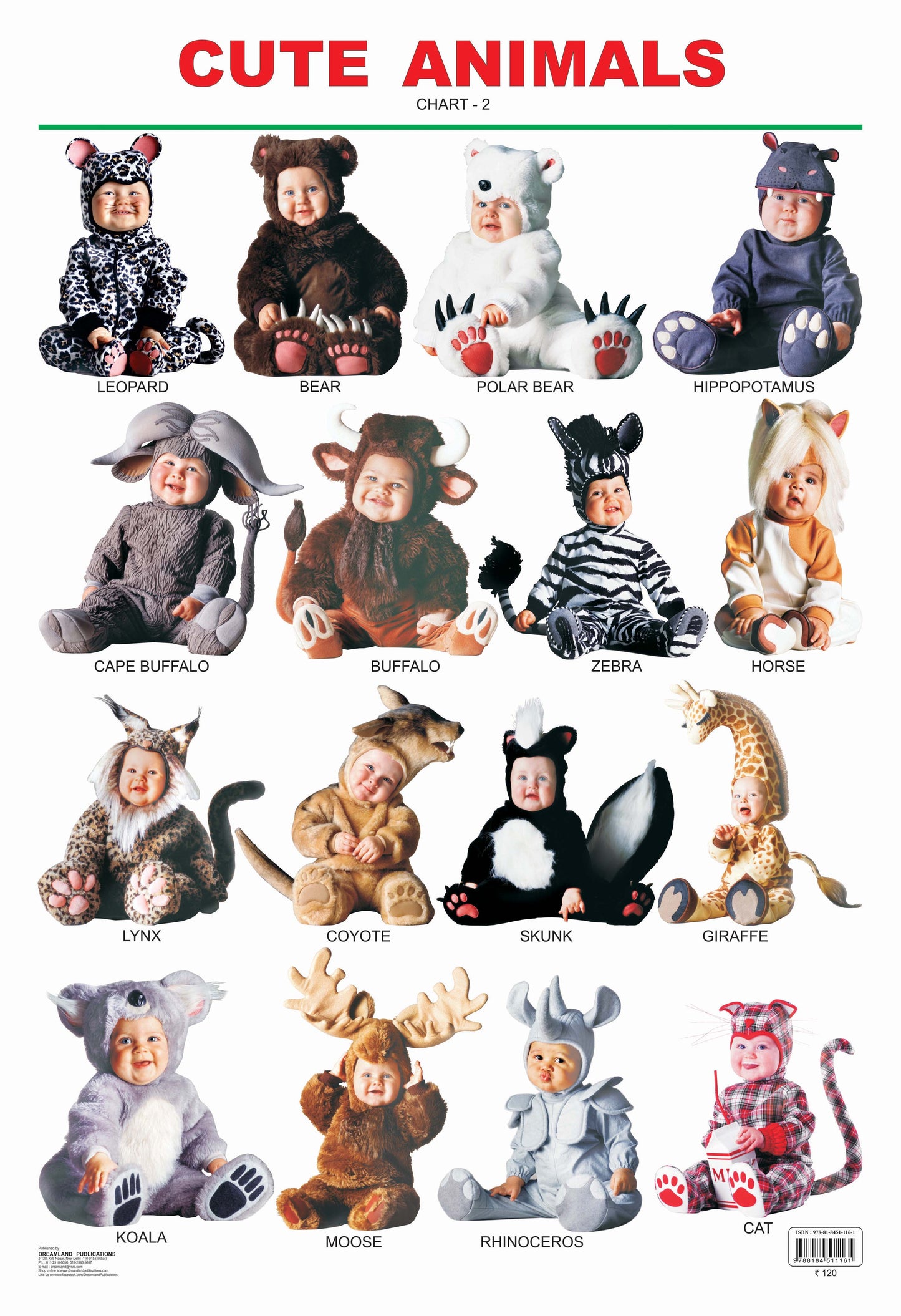 Dreamland Publications Educational Chart for Kids - Cute Animals - 2. -  buy in usa 