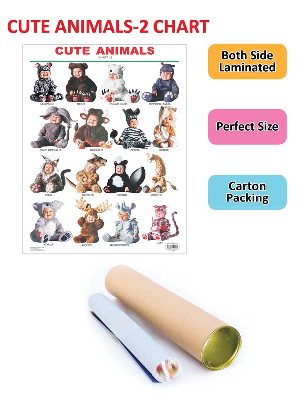 Dreamland Publications Educational Chart for Kids - Cute Animals - 2.