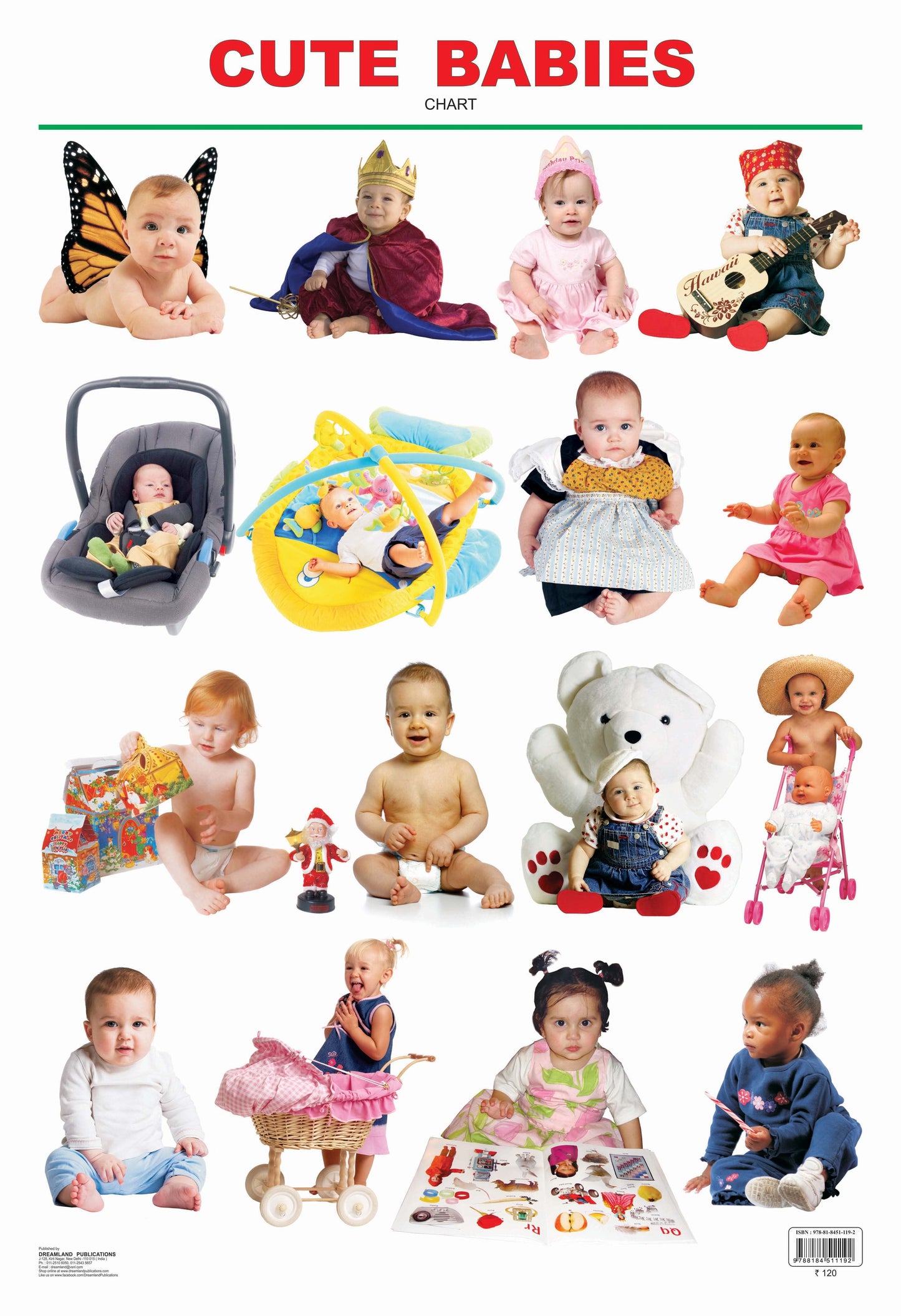 Dreamland Publications Educational Chart for Kids - Cute Babies -  buy in usa 