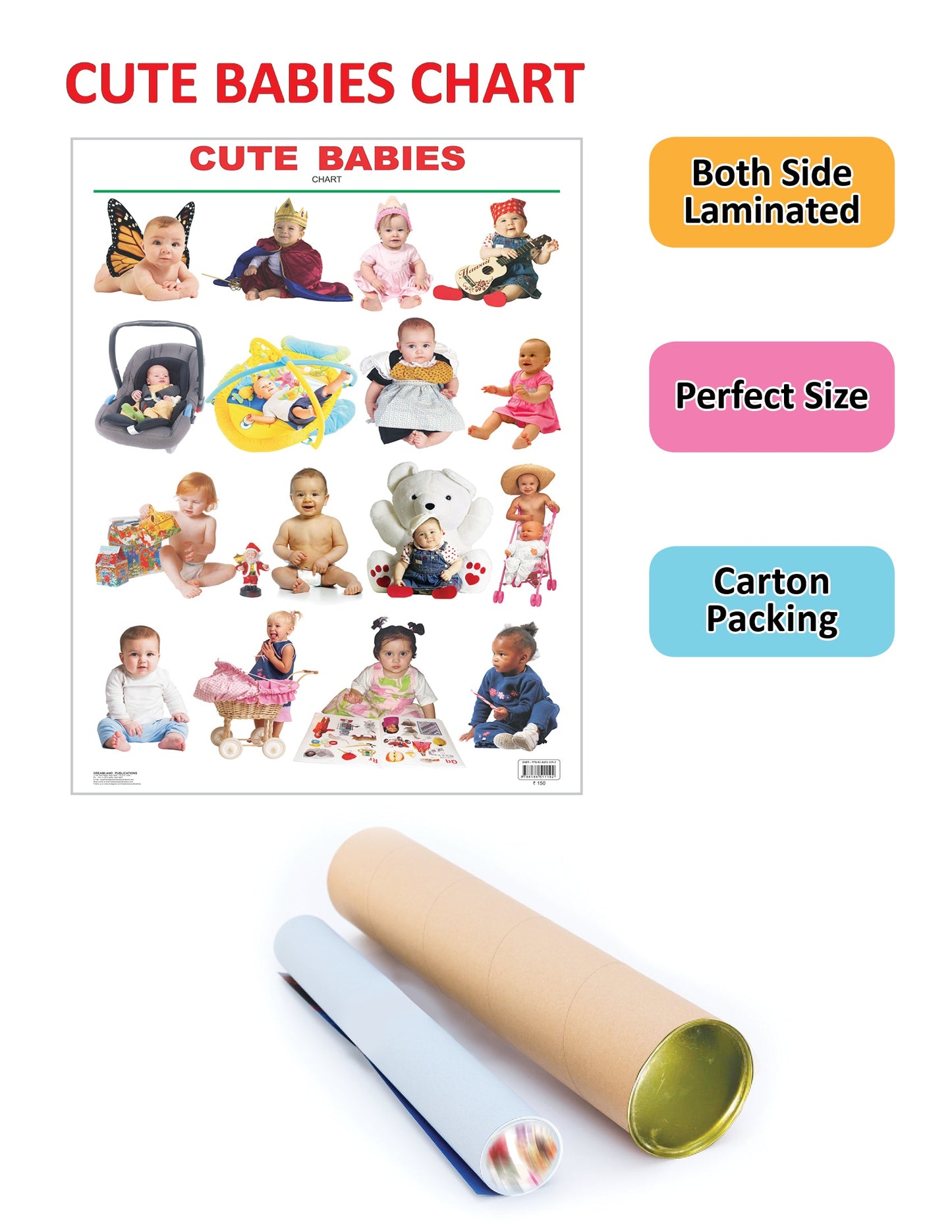 Dreamland Publications Educational Chart for Kids - Cute Babies