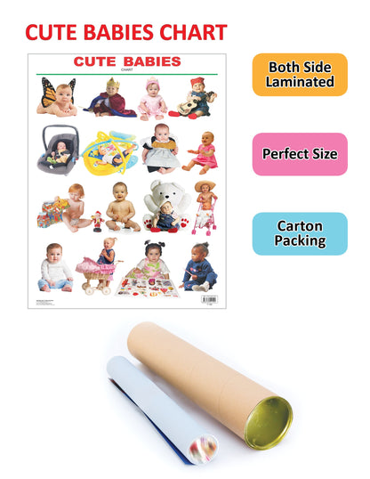 Dreamland Publications Educational Chart for Kids - Cute Babies