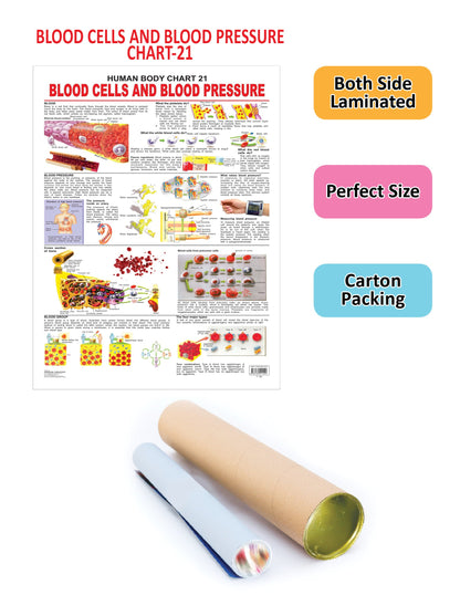 Dreamland Publications Educational Chart for Kids - The Blood Group, Cells & Pressure